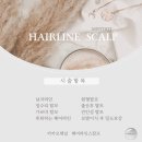 위너뷰티