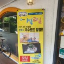 청와대만두 | 청와대 초계국수', 양에 놀라고 맛에 반한 ‘청와대돈까스’ 솔직 후기! (+맛보기 비빔국수 서비스)