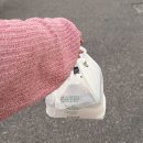 홍천한우 | 홍천 여행 - 홍천 사과 한우축제, 홍천 은행나무숲길 마무리는 한우! &#34;홍천 한우 사랑말식당&#34; 솔직후기