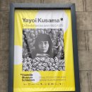 남근농장 | 박물관 Stedelijk Museum Schiedam - Yayoi Kusama 쿠사마 야요이 전시, 파노라마 스키담 전시 관람 후기