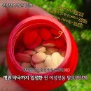 사과똥머리 | 똥머리할때 정수리 자꾸 휑해져서 먹어본 여성전용 탈모영양제 솔직후기
