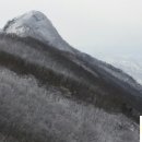 경보목장 이미지