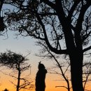 풍도 | 서해의 보석, 풍도 백패킹 후기