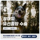 동두천 메디컬 센터 이미지