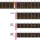 기타렐레(우쿨렐레) 이미지