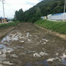 곡성-173 이미지