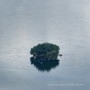 악어화장실 | [국내여행/ 충주 가볼만한 곳] 악어육교 있다? 없다? _🐊악어봉 주차, 화장실, 등린이 소요시간