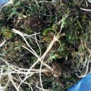 선은농장 이미지