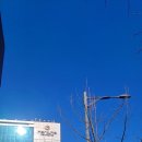 판교로319번길 이미지