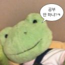 애니클래스 이미지