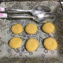 코스팜바이오 - 중구 광복로 52-1 | [좀벌레 퇴치법/바퀴벌레 퇴치법] 좀벌레 사냥, 붕산 당고 만들기, 녹수향 방충제, 바이오미스트