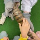 장수농장 | [김포곤충농장]6살아이랑 재방문후기|장수풍뎅이 분양|프로그램,주차,이용금액