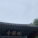 앨리게스트하우스 | [경주 혼자 여행 숙소] 경주 앨리게스트하우스 후기