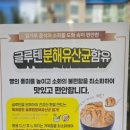 빵고집 이미지
