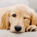 위너스 동물병원 이미지