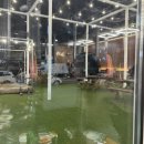 운정 아르젠 | [파주 운정 초롱꽃마을맛집] 정육식당노가 | 가성비갑 한돈한판! 고기시키면 계란찜 된장찌개가 서비스