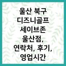 울산 북구 디즈니골프 세이브존 울산점, 연락처, 후기, 영업시간