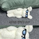 피크아브 | 매일매일 꽃과 함께
