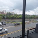 스타벅스 김해진영DT점 이미지