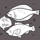 별난셀프회타운