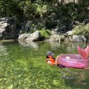 드림케어약국 이미지