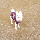 호텔베르 이미지