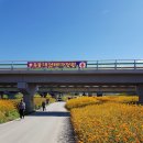 꽃잔치 - 고양시 덕양구 화신로 102 | 꽃잔치