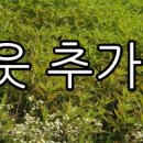 건강대중탕