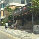 야부천 | 부천 옥길동 24시옥길아라동물의료센터 고양이 건강검진 후기 (8살 신장 초기 진단)
