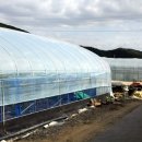 봉도농장 이미지