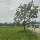 청덕수변생태공원 이미지