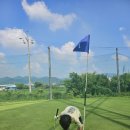 파스크린골프연습장 이미지