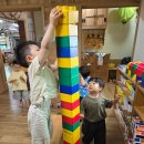 6월 둘째주 생태놀이(목련열매 나열하기/균형잡기 놀이/산딸기, 산초열매 따먹기/솔방울장식하기/목련열매 장식하기/감자캐기/내감자 그리기) 이미지