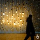 플레이스(playce) 이미지