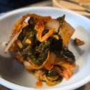 짱조개나라 이미지