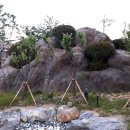 동산샘터 이미지