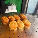 꼬숩당개 이미지