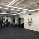 크로스핏 코알라 이미지