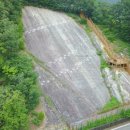 신성리 공룡발자국 | 신성리공룡발자국과 양귀비꽃밭(청송)