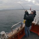 더 필드 이미지