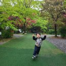 천보wellness캠핑장 이미지