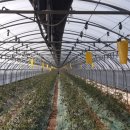 토마토부동산중개사무소 이미지