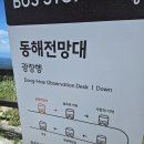 삼양농장 | 대관령삼양농장 삼양라운드힐 삼양라운드힐전망대 양몰이공연 버스운행 대관련삼양라운드힐후기