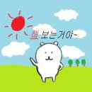 재난(산불)대응 전문가 특강 | 🌐[글로벌 기후‧환경 홍보대사] 1단계_무관심을 관심으로🐻‍❄️🧊❄️