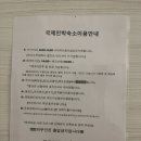 국제민박 | 피렌체 | 가성비 숙소 한인민박 국제민박 솔직후기 (내돈내산)
