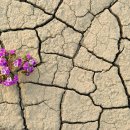 Resilience 이미지