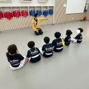 경희대 탑 태권도장 이미지