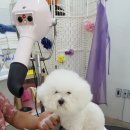 (주)보드레 이미지