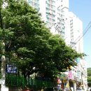 라이프상가 아파트 앞 이미지
