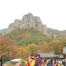청송 이미지